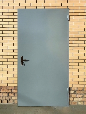 Глухая техническая дверь