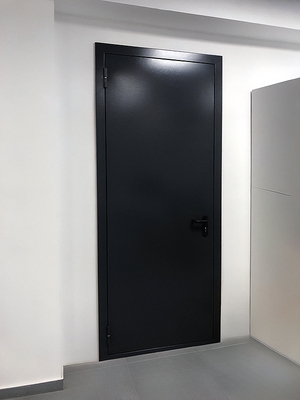 Однопольная черная дверь